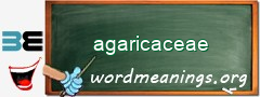 WordMeaning blackboard for agaricaceae